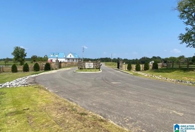 Bluewater Bend is a planned and platted, gated residential - photo 12