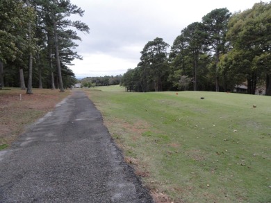 1 vacant double lot for sale, ready for your new home, joining - photo 18