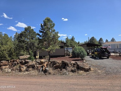 Nestled in the White Mountains of Arizona, Lakeside is a vibrant - photo 30