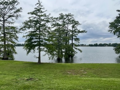 Fine Live Oak Shaded 100' Lot with Steel Seawall on Lake Bruin - photo 10