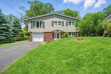 Lake Home For Sale in Mount Arlington, New Jersey