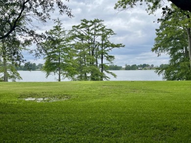 Fine Live Oak Shaded 100' Lot with Steel Seawall on Lake Bruin - photo 3