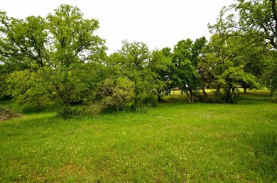 Build the custom golf course home of your dreams! Cul-de-Sac - photo 7