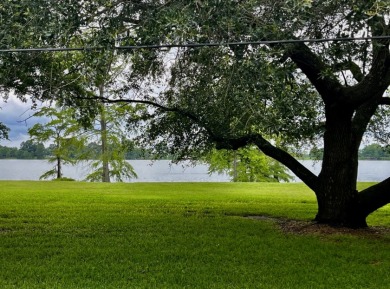 Fine Live Oak Shaded 100' Lot with Steel Seawall on Lake Bruin - photo 6
