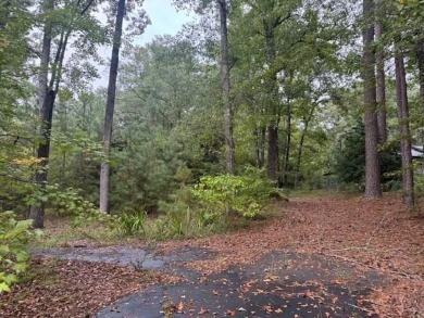 Lake Lot For Sale in Santee, South Carolina