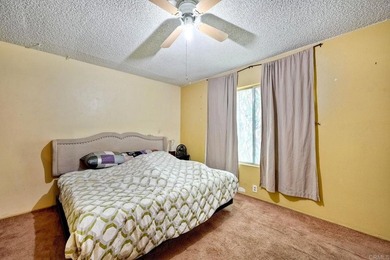 This is a great opportunity to own a spacious single story home - photo 11