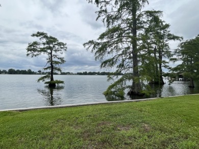 Fine Live Oak Shaded 100' Lot with Steel Seawall on Lake Bruin - photo 8