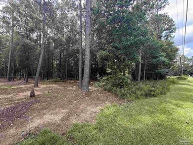 This residential lot located just south of Hwy 98 is situated on - photo 3
