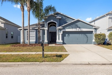 (private lake, pond, coastal) Home For Sale in Land O Lakes Florida