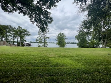 Fine Live Oak Shaded 100' Lot with Steel Seawall on Lake Bruin - photo 2