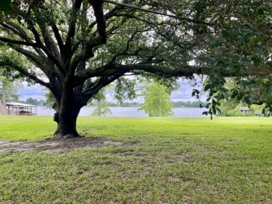 Fine Live Oak Shaded 100' Lot with Steel Seawall on Lake Bruin - photo 7