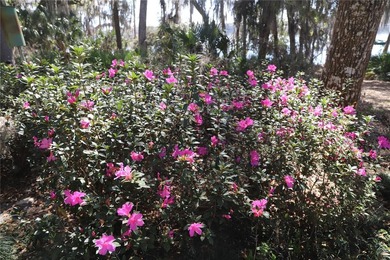Privately nestled on 2.26 acres with approximately 150 ft of - photo 58