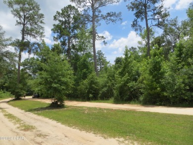 Lake Lot For Sale in Chipley, Florida