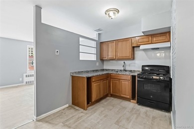 Welcome to 644 Autumn Ave, a solid all-brick, legal 2-family - photo 21