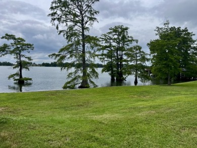 Fine Live Oak Shaded 100' Lot with Steel Seawall on Lake Bruin - photo 4