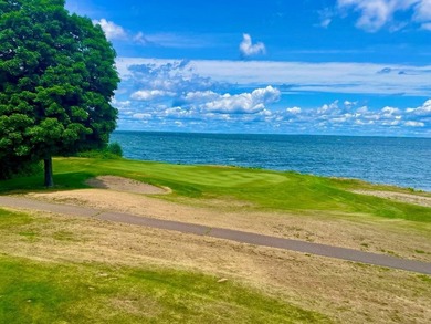 Beautiful 3BR/3BA townhome at Izatys overlooking signature Hole - photo 33