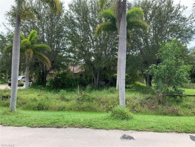 (private lake, pond, creek) Home For Sale in Fort Myers Florida