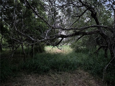 (private lake, pond, creek) Acreage For Sale in Corpus Christi Texas