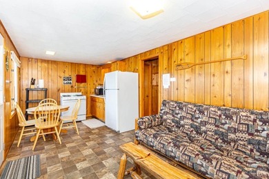 Lake Ida! Your Minnesota Lakefront Retreat Nestled on the - photo 14