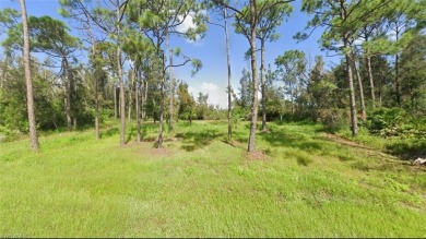 Lake Lot For Sale in Punta Gorda, Florida