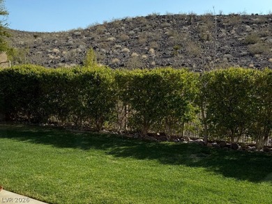 Discover your dream home in the prestigious, guard-gated Anthem - photo 23