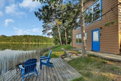 Lake Ida! Your Minnesota Lakefront Retreat Nestled on the - photo 29