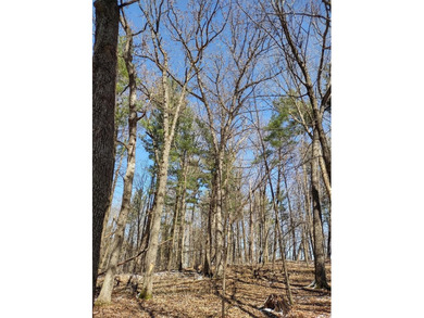Set in the Majestic Woods development, this gorgeous heavily - photo 11