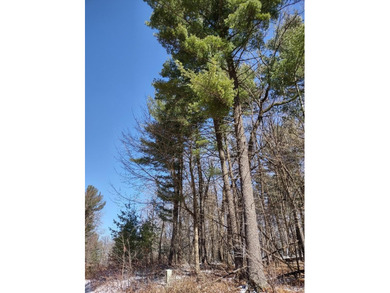 Set in the Majestic Woods development, this gorgeous heavily - photo 12