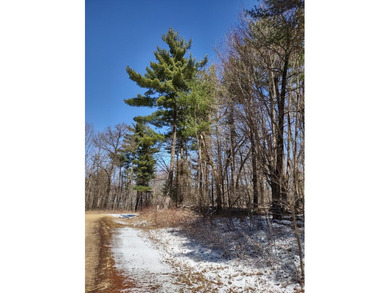 Set in the Majestic Woods development, this gorgeous heavily - photo 14
