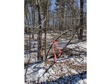 Set in the Majestic Woods development, this gorgeous heavily - photo 16