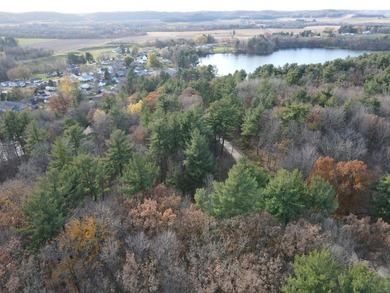 Set in the Majestic Woods development, this gorgeous heavily - photo 18