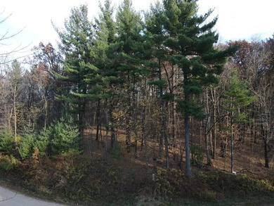 Set in the Majestic Woods development, this gorgeous heavily - photo 23