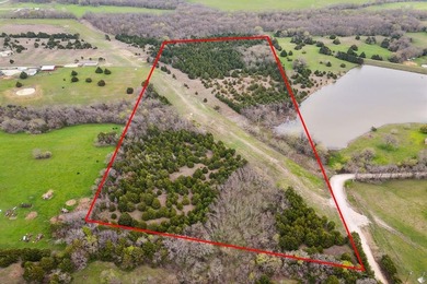 (private lake, pond, coastal) Acreage For Sale in Blue Ridge Texas