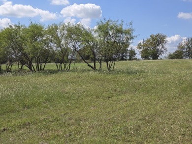 Beautiful Waterview lake lot cleared and ready for your lake life - photo 3