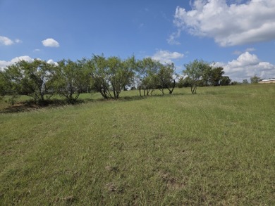 Beautiful Waterview lake lot cleared and ready for your lake life - photo 2