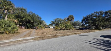 Residential lot available to build a single family home - photo 3