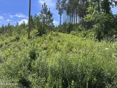 Discover the peaceful beauty of Highland Shores, a scenic rural - photo 11