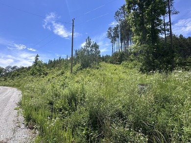 Discover the peaceful beauty of Highland Shores, a scenic rural - photo 14