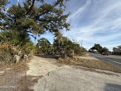 Seize this incredible opportunity to own a 1/2-acre vacant - photo 3