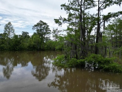 (private lake, pond, creek) Acreage For Sale in Jay Florida