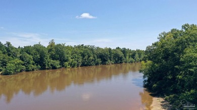 Jay, FL - 320.545+/- Acres on Escambia River - Outdoor - photo 3