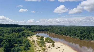 Jay, FL - 320.545+/- Acres on Escambia River - Outdoor - photo 8