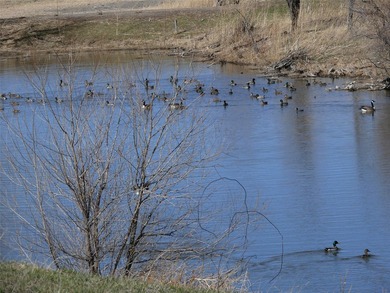 10 parcels of land with approximately. 4 1/2 miles of Missouri - photo 5