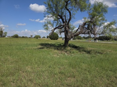 Beautiful Waterview lake lot cleared and ready for your lake life - photo 15