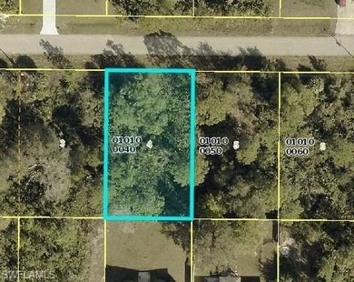 Lehigh Acres Area Lot For Sale in Lehigh Acres Florida