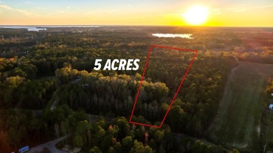 Lake Acreage For Sale in Summerton, South Carolina