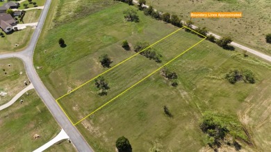 Beautiful Waterview lake lot cleared and ready for your lake life - photo 4