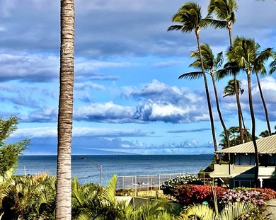 Welcome to Hale Kanani! One of the most sought after condominium - photo 26
