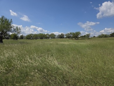 Beautiful Waterview lake lot cleared and ready for your lake life - photo 5