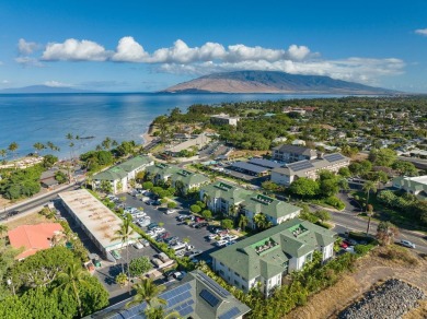 Welcome to Hale Kanani! One of the most sought after condominium - photo 30